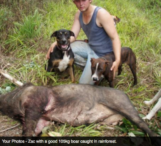 Screen Shot 2013-10-02 at 1.40.46 PM